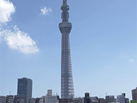 早慶レガッタ観戦応援