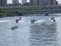 早慶レガッタ観戦応援