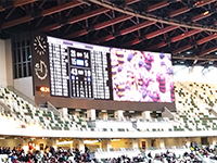 100周年ラグビー早慶戦観戦