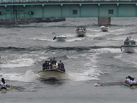 早慶レガッタ観戦応援