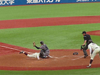 春季早慶戦観戦応援