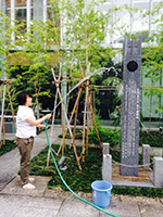 2014年07月19日（土）大隈重信候雉子橋邸跡記念碑清掃